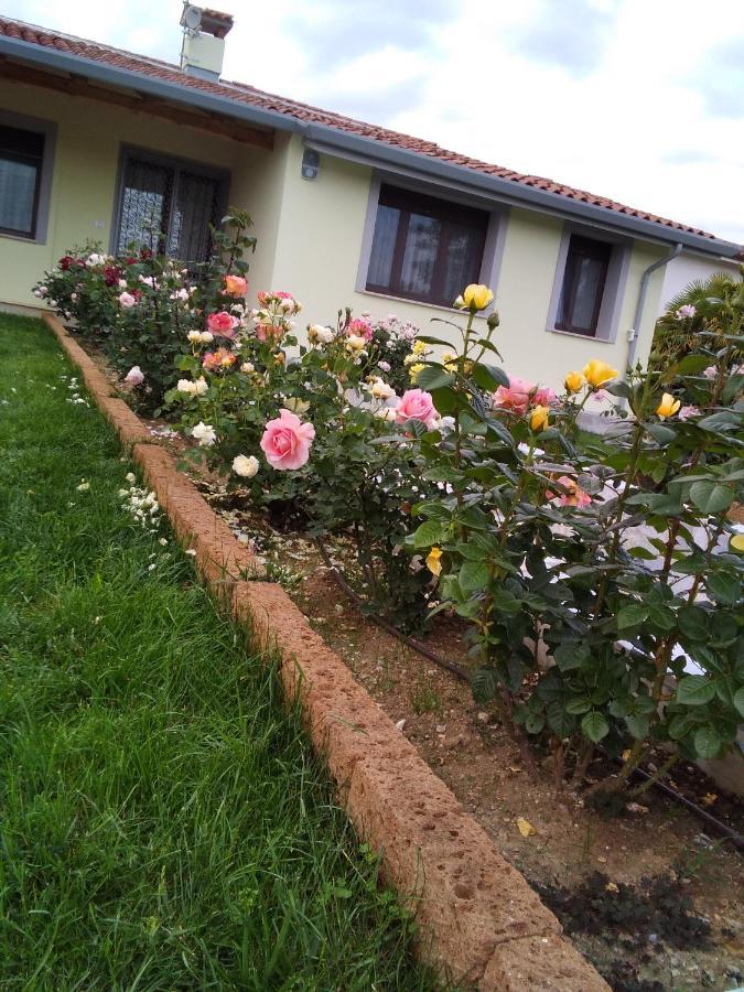 B&B Fili D'Erba Farra d'lsonzo Exterior foto